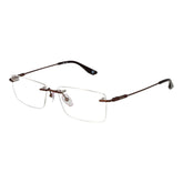 BMW Brown Titanium Glasses (Frames)